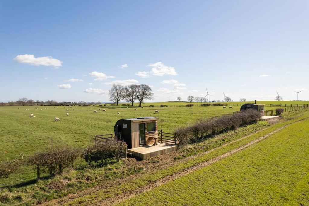 Вілла 'Pipistrelle' Remote Off-Grid Micro Cabin Седжфілд Екстер'єр фото